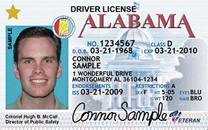 AL DMV driver's license